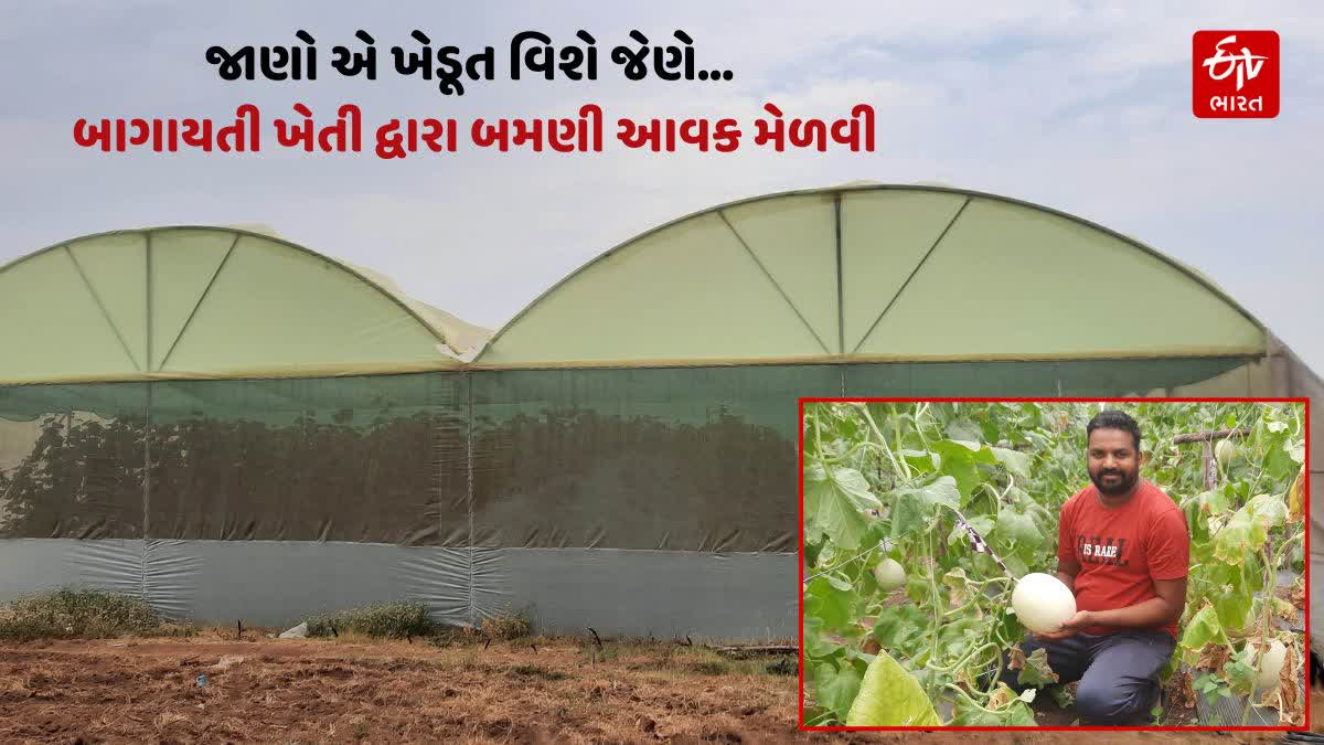 બાગાયતી ખેતીનો ઉપયોગ કરી બમણી આવક મેળવી