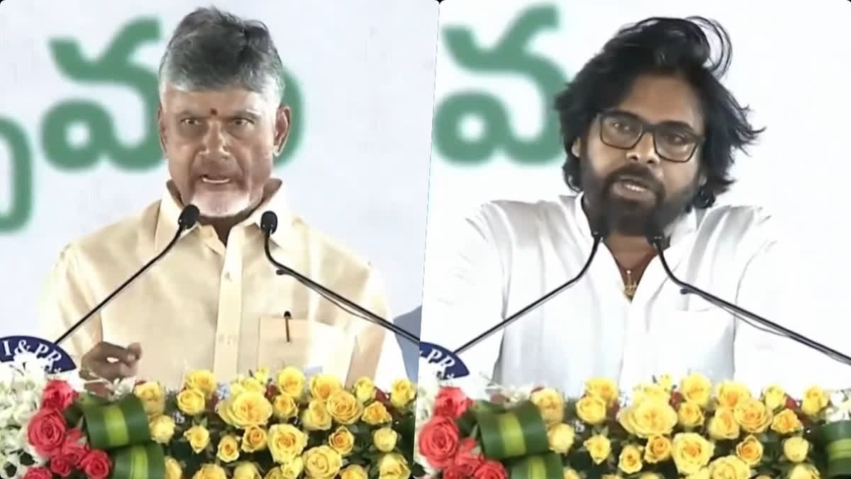 Chandrababu Naidu and Pawan Kalyan