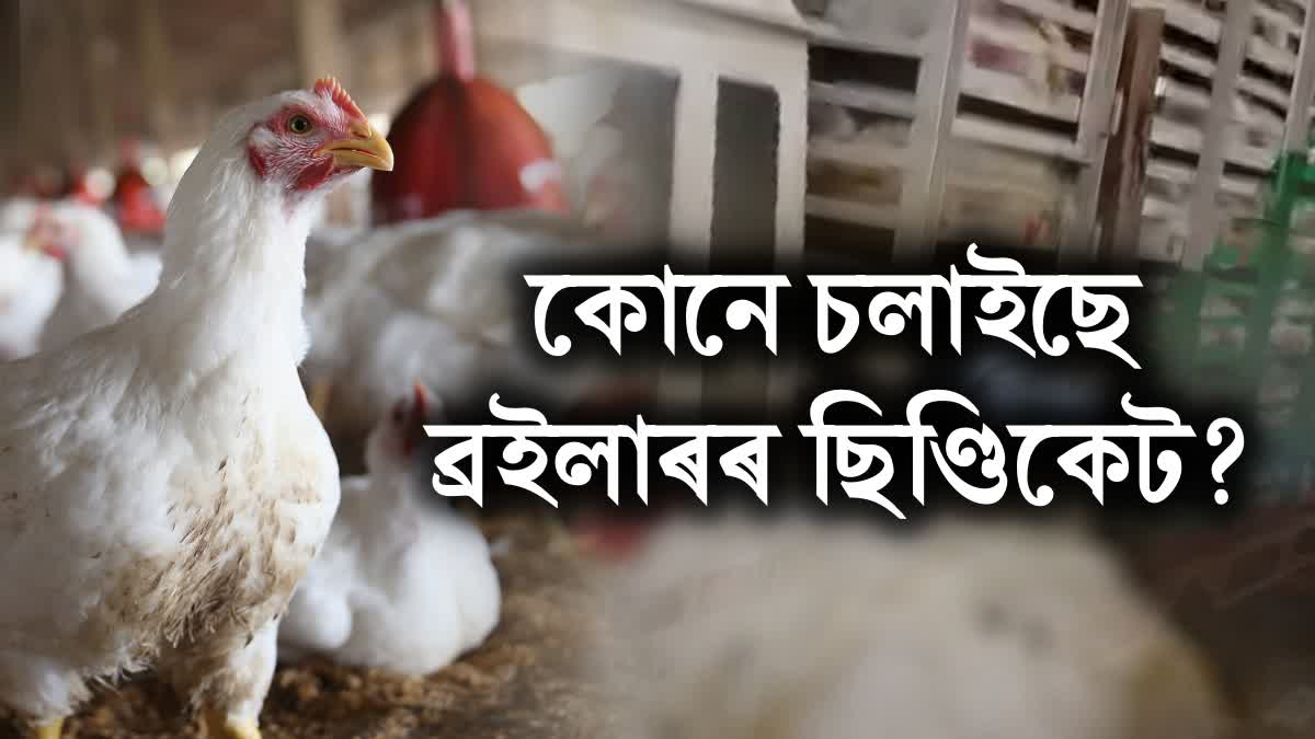 BROILER SYNDICATE IN ASSAM