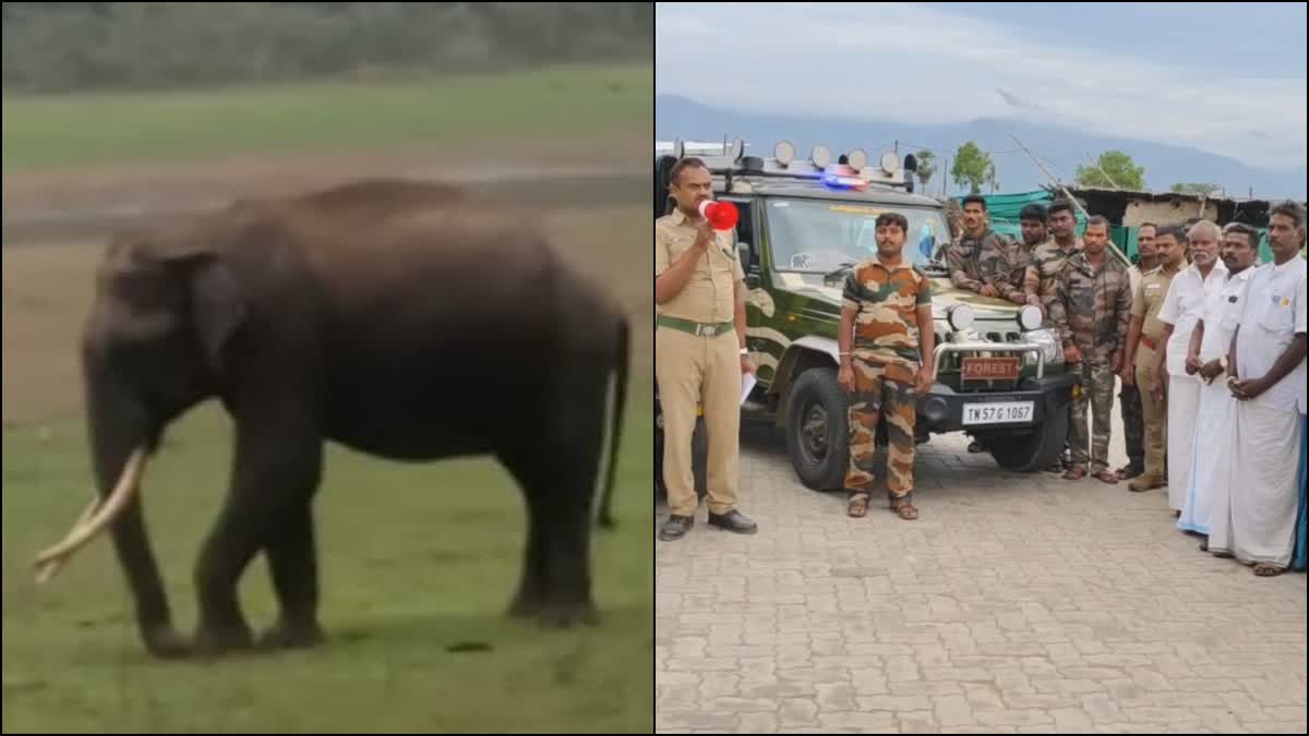 யானை, வனத்துறை ஒலிப்பெருக்கி மூலம் அறிவிக்கும் புகைப்படம்