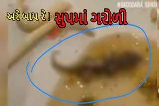 સુપમાંથી નીકળી ગરોળી