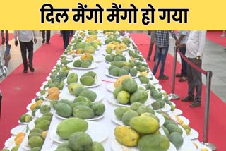 NATIONAL MANGO FESTIVAL