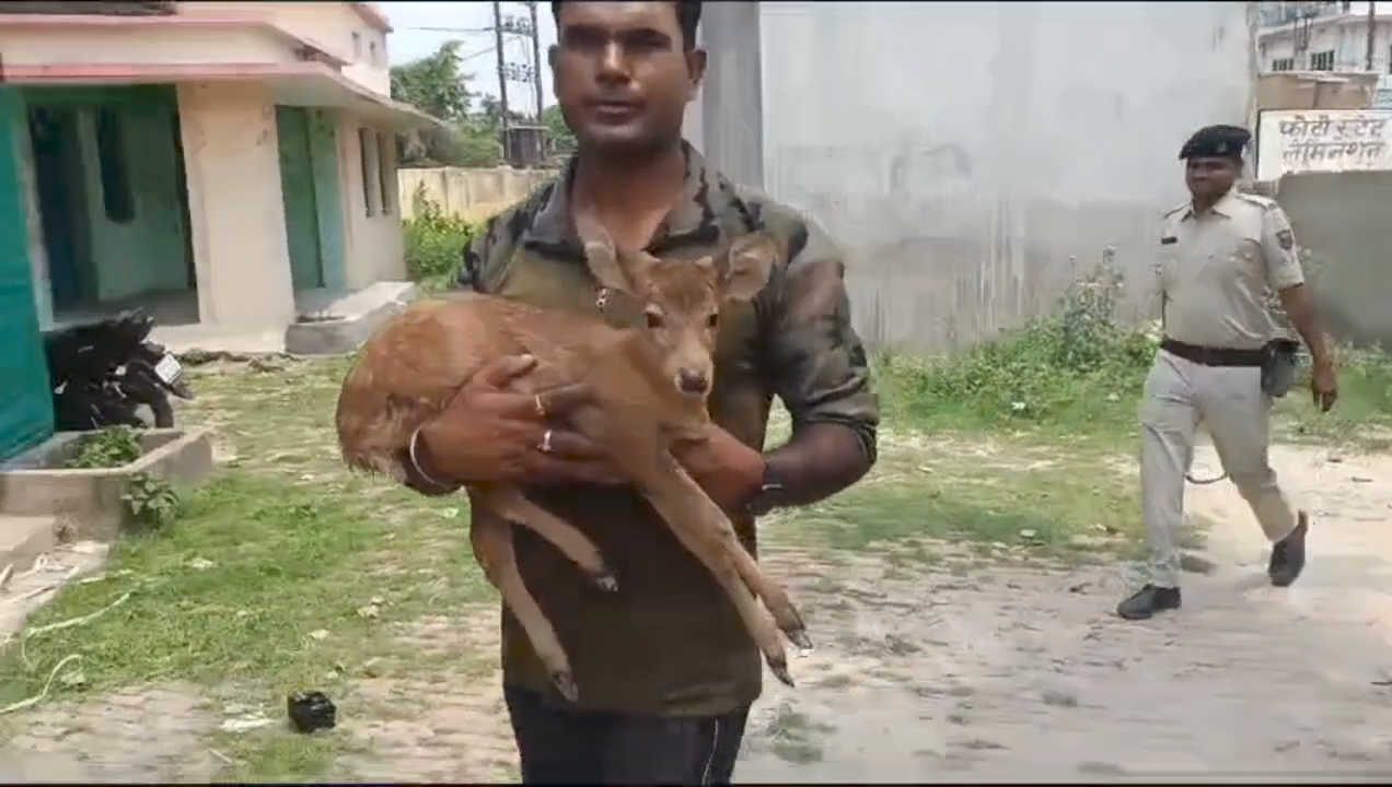 Valmiki Tiger Reserve