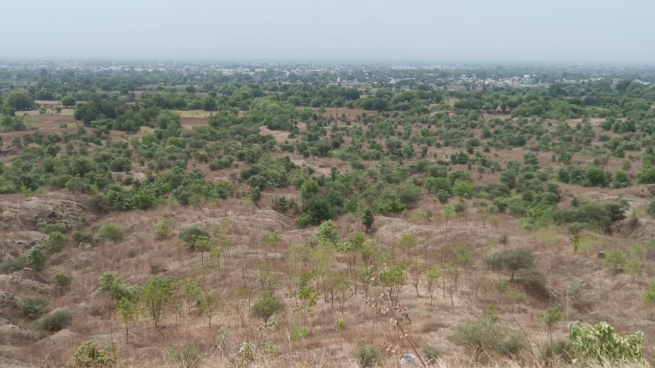 SATPURA HILLS BURHANPUR GREENERY