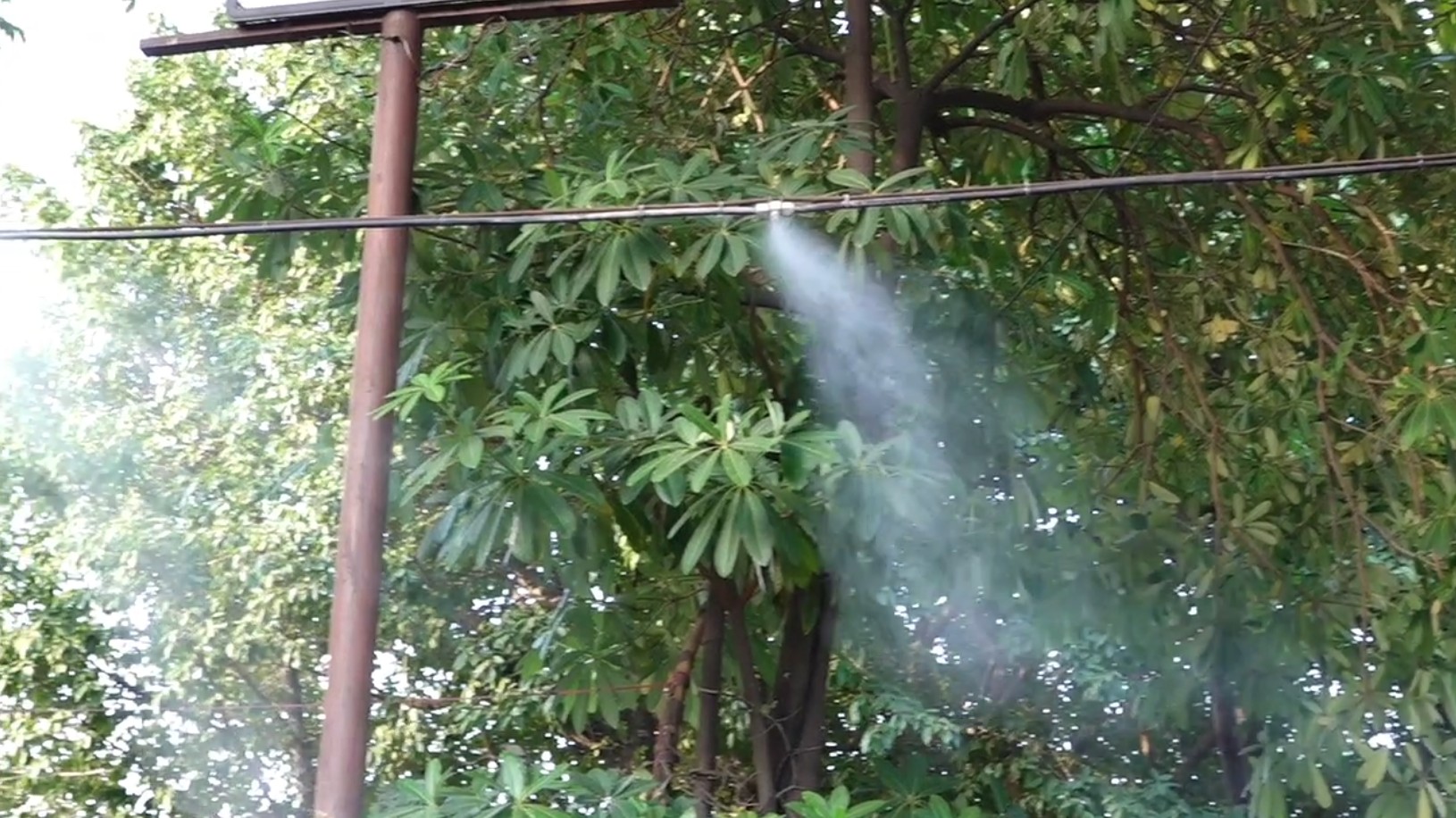 Chandigarh Dhaba Installs Mist Fogging Apparatus To Draw Customers Amid ...