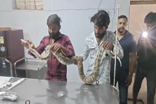 PYTHON OPERATION IN NARMADAPURAM