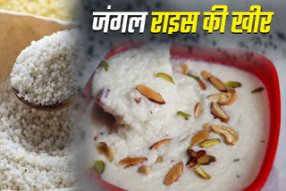 VINDHYA LAVABAJA SWEET DISH