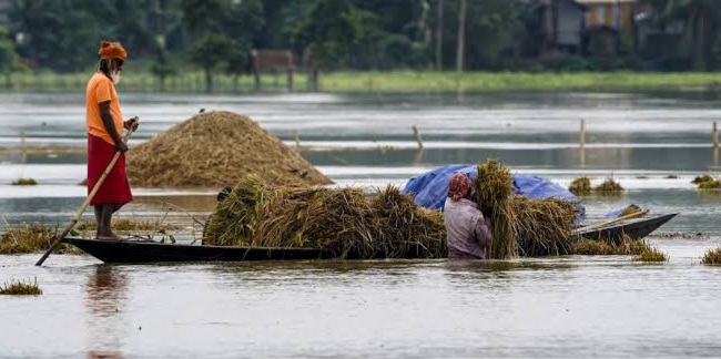Assam flood