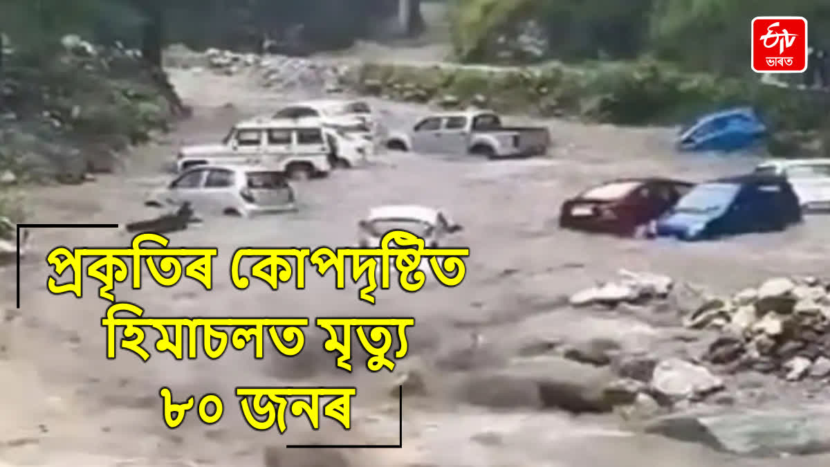 Himachal Floods Update