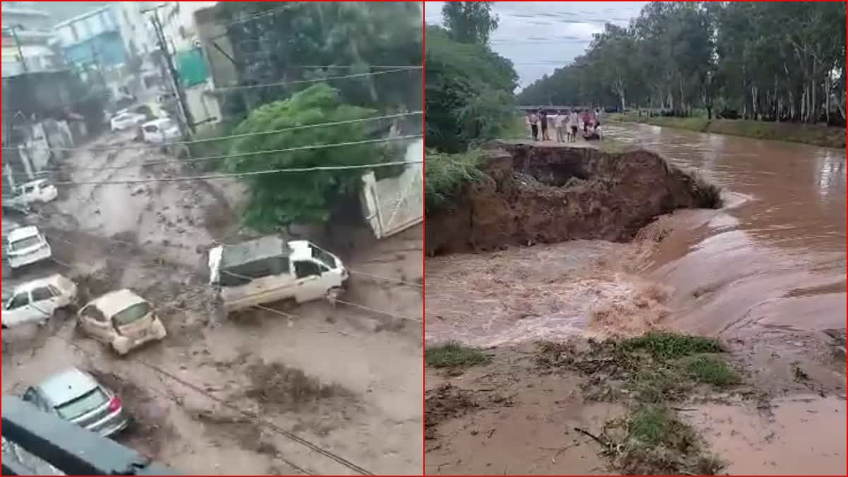 rain in haryana