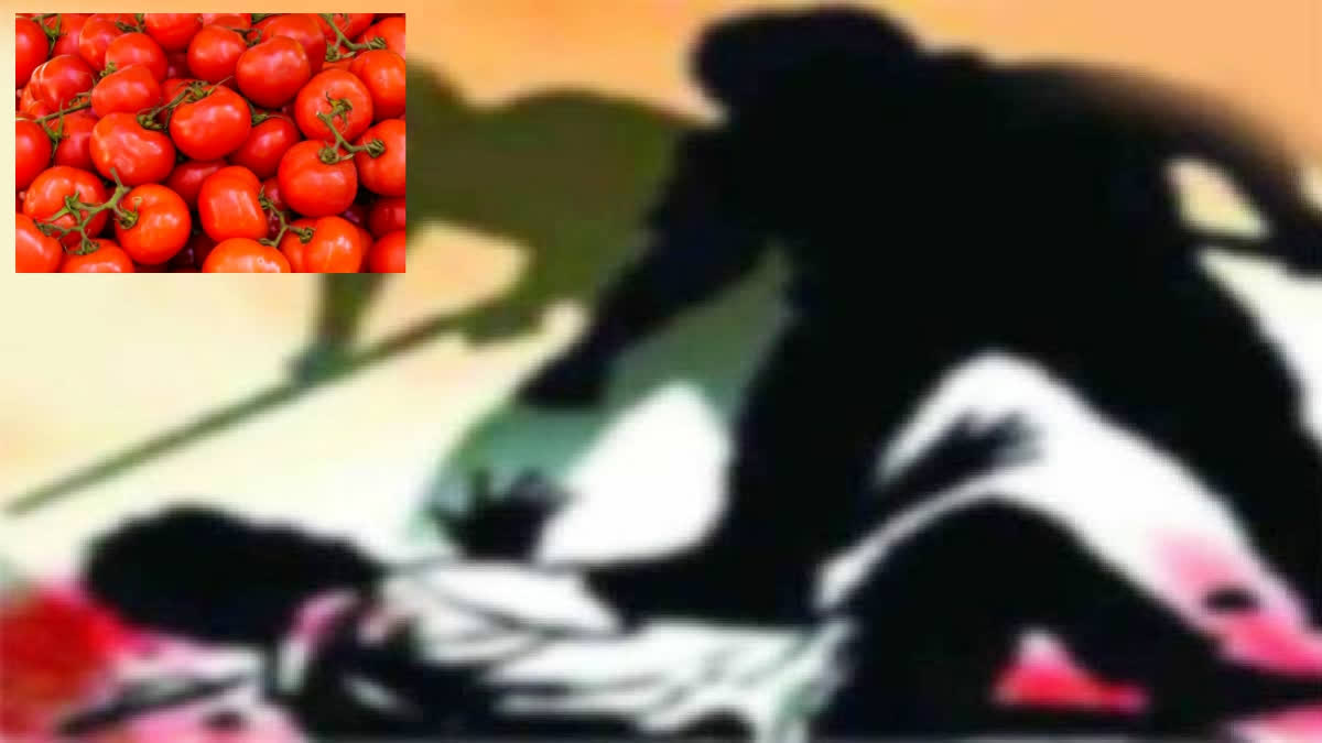 Tomato Farmer Murder