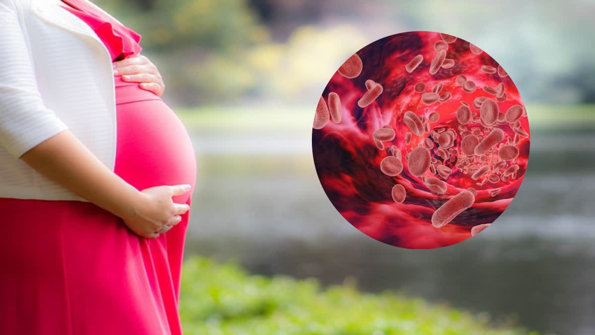 Hemoglobin Decreases During Pregnancy News