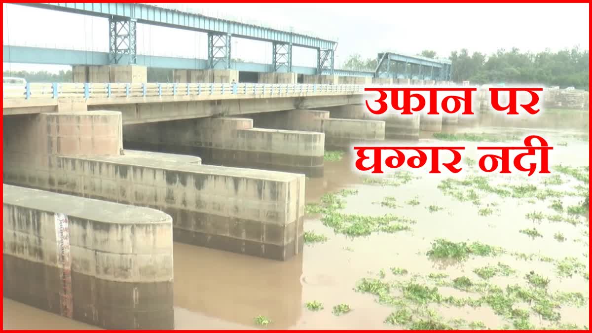 Flood alert in Sirsa district