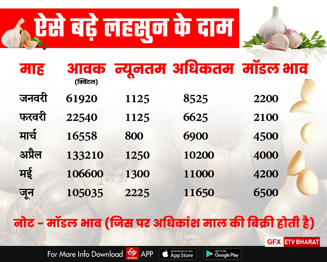 Garlic Prices in Rajasthan