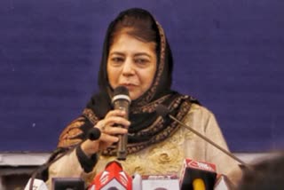 Mehbooba Mufti on 370