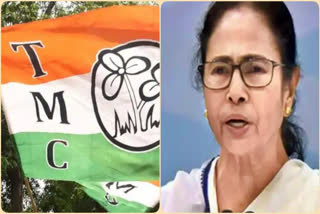 TMC sweeps violence-hit West Bengal Panchayat polls