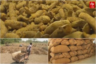Turmeric price rise after 10 years