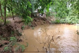 Erosion on Dipota river at Rangapara in Sonitpur