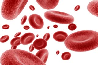 Hemoglobin Deficiency News