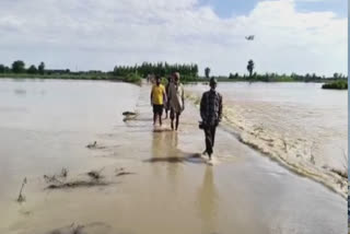 A young man got stuck in a stream in Ludhiana