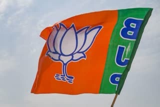 BJP candidates for Rajya Sabha polls 2023