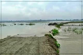 Chirang Flood news