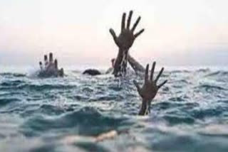 Two brothers died due to drowning in Shahdol