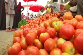 Tomato farmer murdered in Andhra:  Stole KG Tomatoes along with Cash and Gold in Telangana