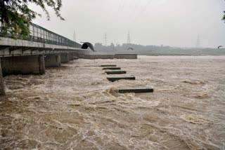 Yamuna river