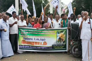 theni-farmers-are-protesting-by-breaking-coconuts-demanding-a-fair-price-for-coconuts