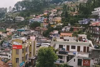 pauri