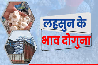 Garlic Prices in Rajasthan