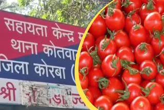 Tomato Theft In Korba