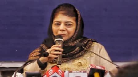 Mehbooba Mufti on 370