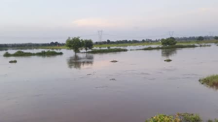 rain in kaithal