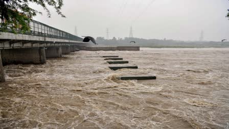 Yamuna river