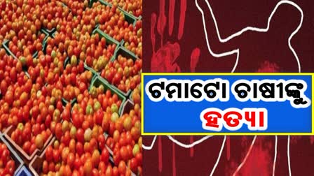 ଟମାଟୋ ଚାଷୀଙ୍କୁ ମର୍ଡର