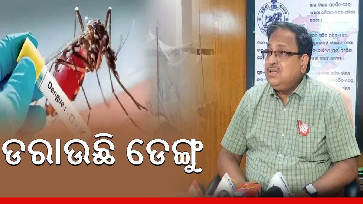 Dengue cases rises in odisha