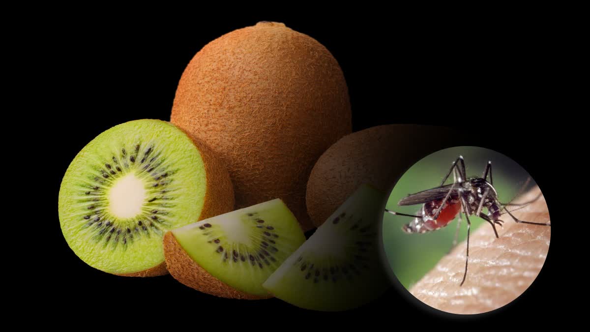 Kiwi for Health News