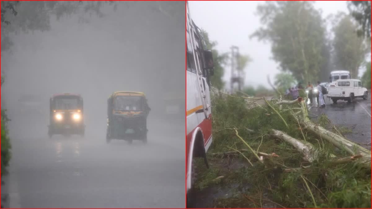 Haryana Monsoon Update