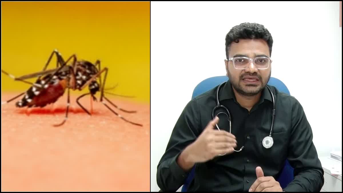 Mosquito and Dr. Naseer