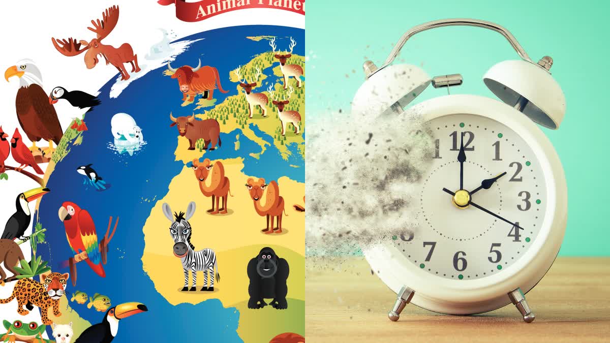 Can Animals Know Time