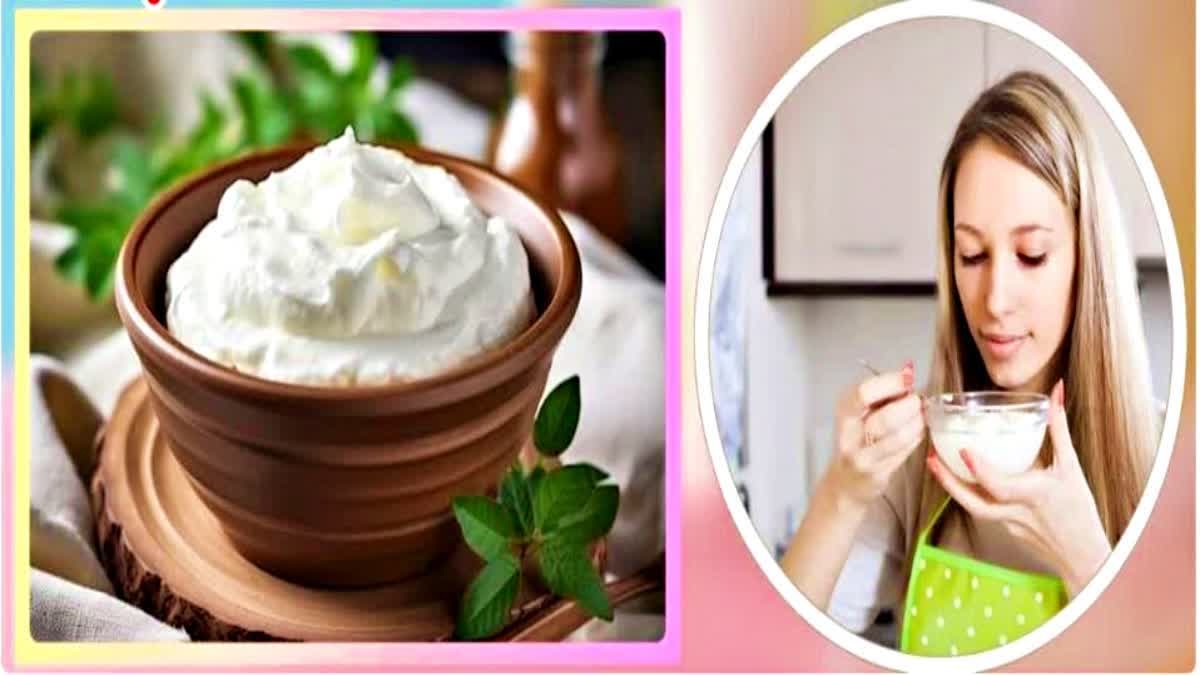 curd  benefits  in  rainy  season  and  precautions while eating curd in monsoon