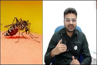 Mosquito and Dr. Naseer