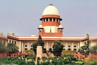 'To protect freedom of expression, SC stays High Court order, know the full case