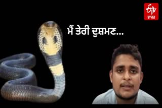 Snake Bite Fatehpur Youth