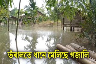 ASSAM FLOOD SITUATION