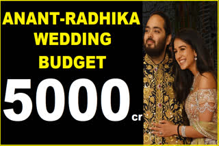 Anant Radhika Wedding Budget