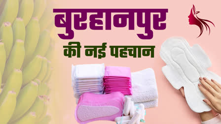 Reusable Sanitary Pads