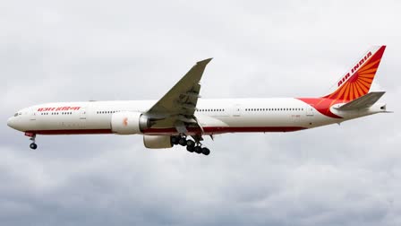 AIR INDIA BAGGAGE FACILITY